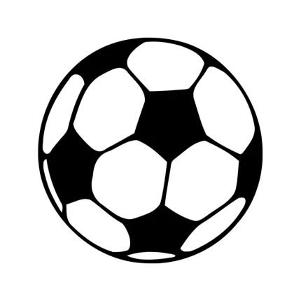 Camisetas de equipos de ligas del mundo