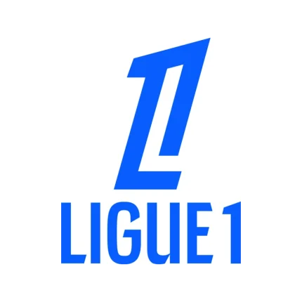 Camisetas Ligue 1 Francesa