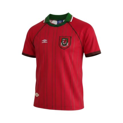 Camiseta retro Gales 1994/96 primera equipación — vista frontal en maniquí
