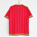 Camiseta retro de fútbol de Gales, primera equipación de la temporada 2015/16, color rojo con detalles verdes. — foto 10
