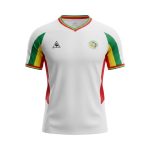 Camiseta retro de fútbol de la selección de Senegal, primera equipación de la temporada 2002. — vista frontal en maniquí