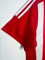 Camiseta retro Southampton 2015/16 primera equipación. — foto 7