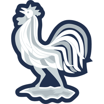 Escudo de Francia — camisetas retro